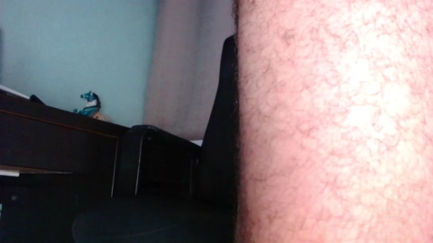 wild_knight  17-11-2022
